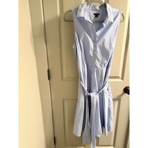 Ann Taylor Dress